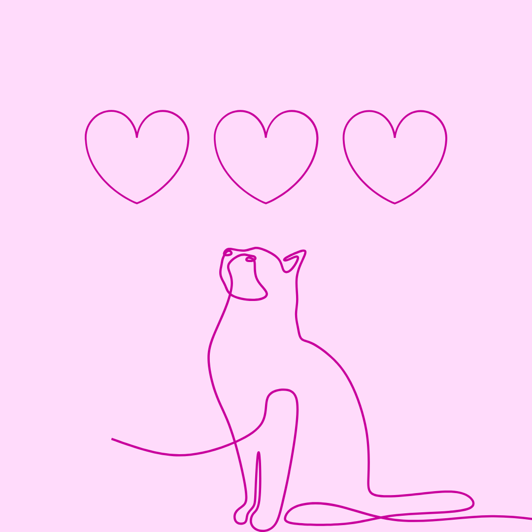 Image of a cat looking at lovehearts